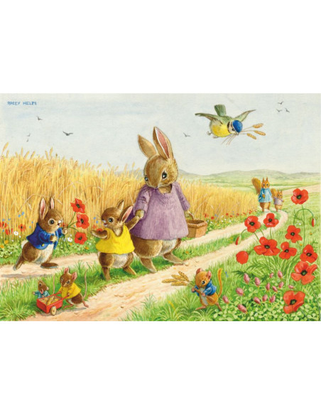 Ansichtkaart zomer wandeling Racey Helps