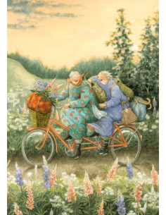 Ansichtkaart zomerse fietstocht Inge Löök