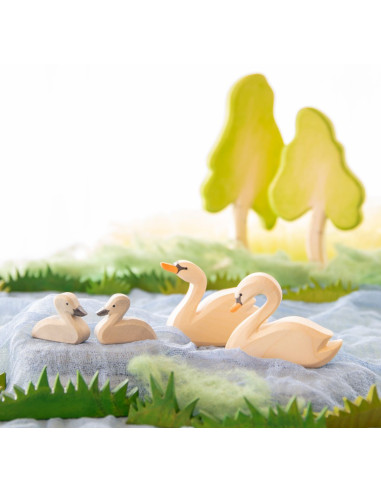 Zwaan kop omhoog Ostheimer