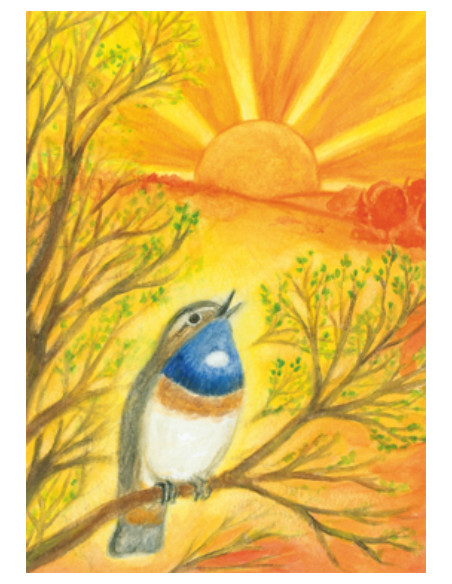 Ansichtkaart lentelied Heike Stinner