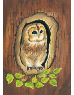 Ansichtkaart uil Heike Stinner