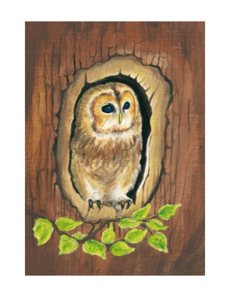 Ansichtkaart uil Heike Stinner