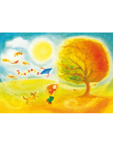 Ansichtkaart vliegeren Heike Stinner