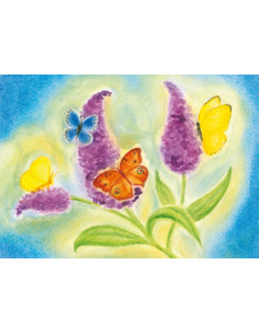 Ansichtkaart vlinderstruik Heike Stinner