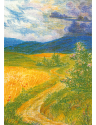 Ansichtkaart zomer Wolfgang Bach