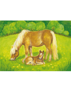 Ansichtkaart paardenweide Heike Stinner