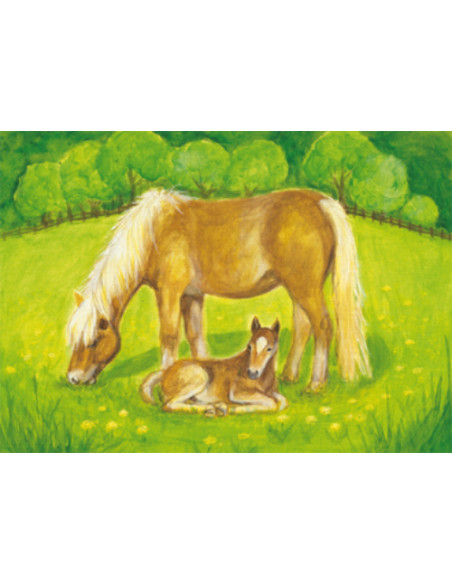 Ansichtkaart paardenweide Heike Stinner