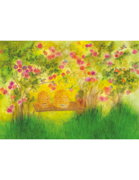 Ansichtkaart bijenkorf Anke Christel-Weidemann