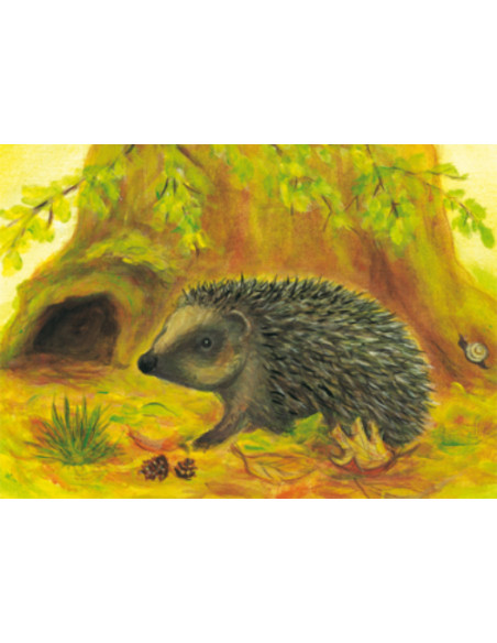 Ansichtkaart egel Heike Stinner