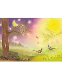 Ansichtkaart dag/ nacht Baukje Exler