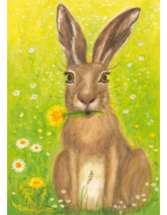 Ansichtkaart haas Heike Stinner