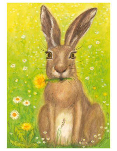 Ansichtkaart haas Heike Stinner