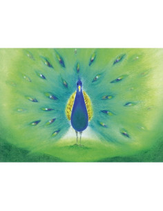 Ansichtkaart pauw Baukje Exler