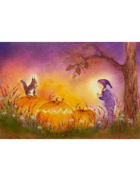 Ansichtkaart pompoenen Baukje Exler