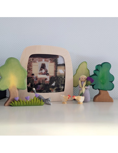 Kip lang met oker Ostheimer