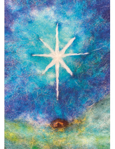 Ansichtkaart kerstster Het Wol Feetje