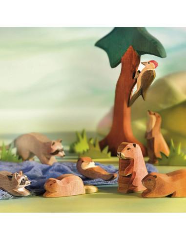 Bever zittend Ostheimer