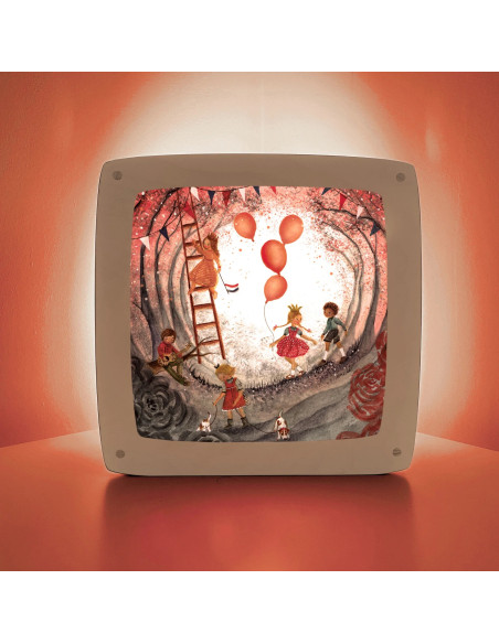 Koningsdag plaat voor seizoenslamp Bijdehansje