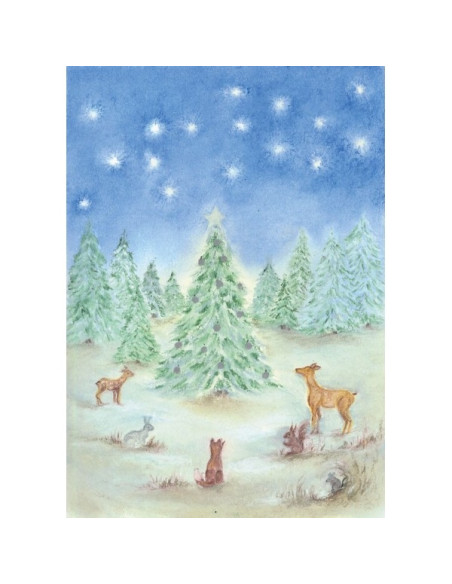 Ansichtkaart winterbos Baukje Exler