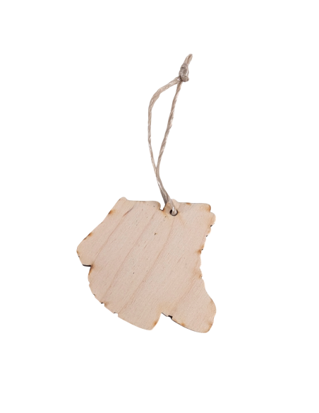 Scouting wandelschoenen hanger