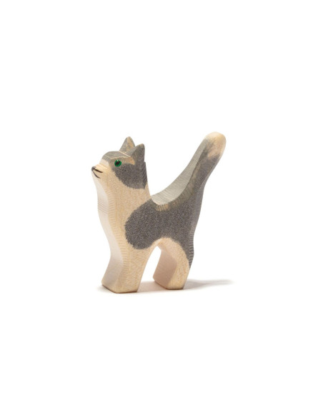 Kleine kat grijs Ostheimer