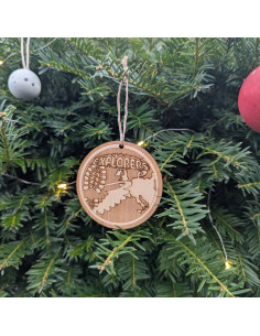 Scouting explorers insigne hangers 2