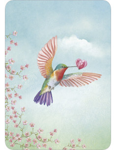 Ansichtkaart kolibri M.M.