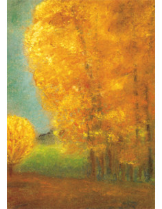 Ansichtkaart herfstbos Ruth Elsässer