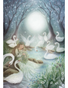 Ansichtkaart zwanenmeer Bijdehansje