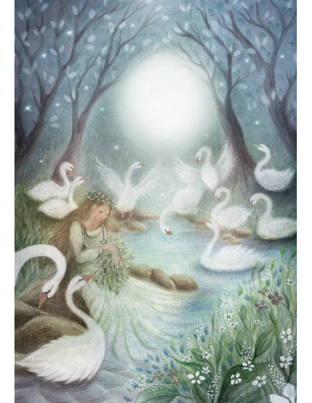 Ansichtkaart zwanenmeer Bijdehansje