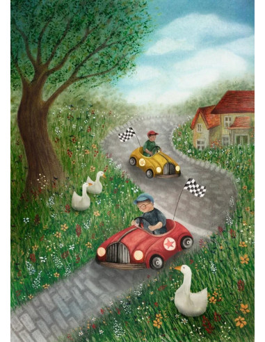 Ansichtkaart autorace Bijdehansje