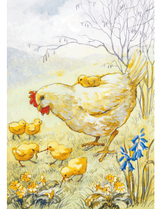 Ansichtkaart kip met kuikens Eileen Chandler