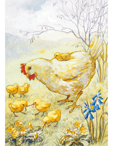 Ansichtkaart kip met kuikens Eileen Chandler