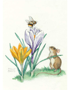 Ansichtkaart krokus muisje Molly Brett