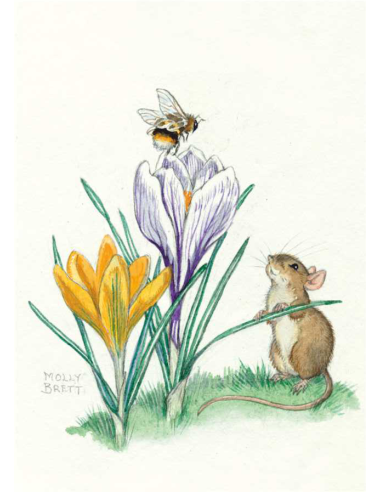 Ansichtkaart krokus muisje Molly Brett