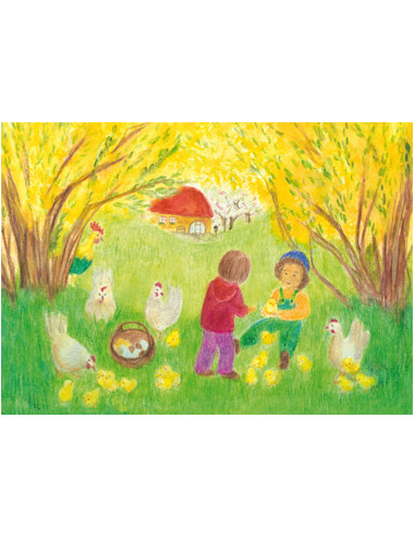 Ansichtkaart kuikentjes Anke Christel - Weidemann