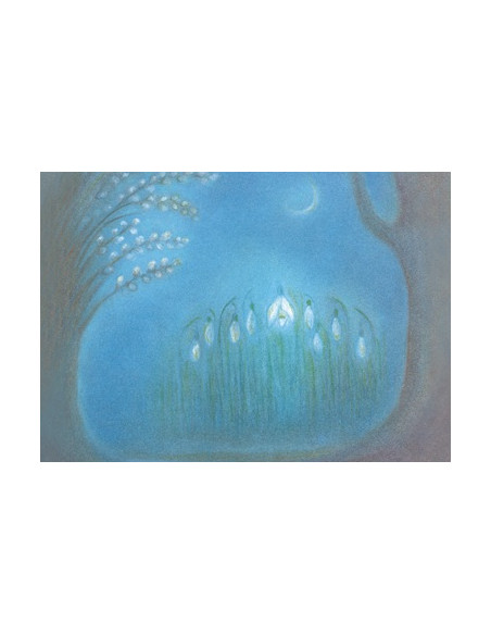 Ansichtkaart sneeuwklokjes Ruth Elsässer