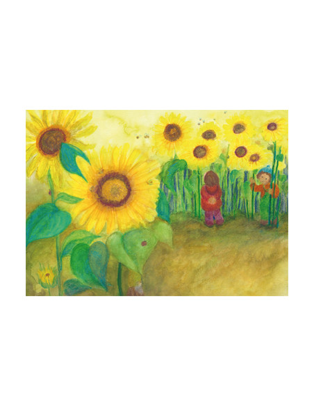 Ansichtkaart zonnebloemen Anke Christel - Weidemann