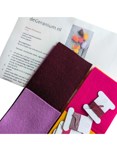 DIY Viltpakket - Lente Vrolijk (Set van 4)