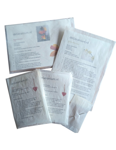 DIY Viltpakket - Lente Vrolijk (Set van 4)