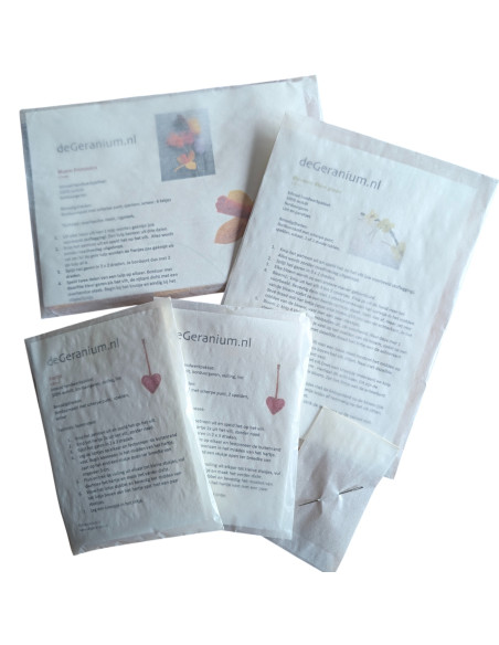 DIY Viltpakket - Lente Vrolijk (Set van 4)