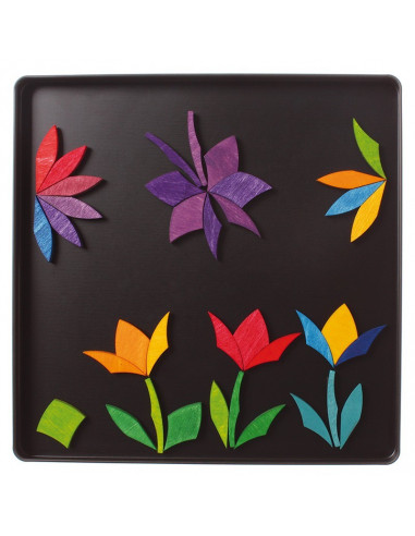 Magneetmozaiek cirkels