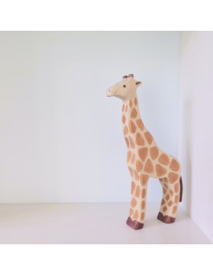 Giraffe staand 2