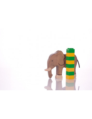 Olifant Holztiger