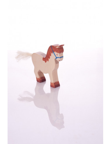 Paard met halster Holztiger