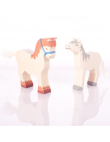 Paard met halster Holztiger