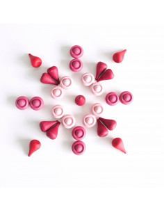 Roze bloemen 2