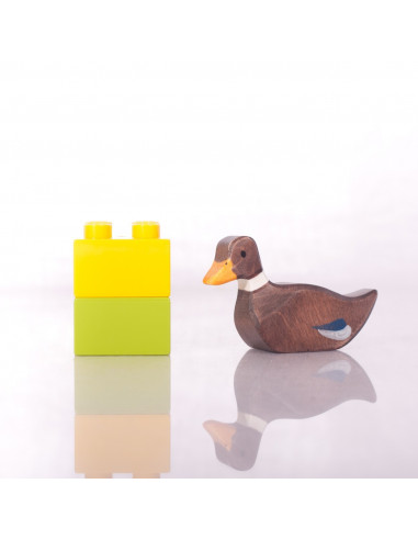 Zwemmende eend Holztiger