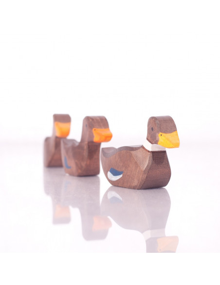 Zwemmende eend Holztiger