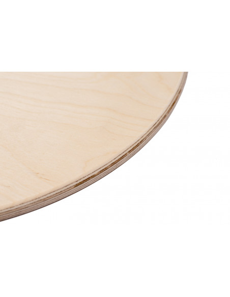 Speelplaat rond Speelplaat rond